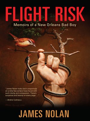 Flight Risk - ebook